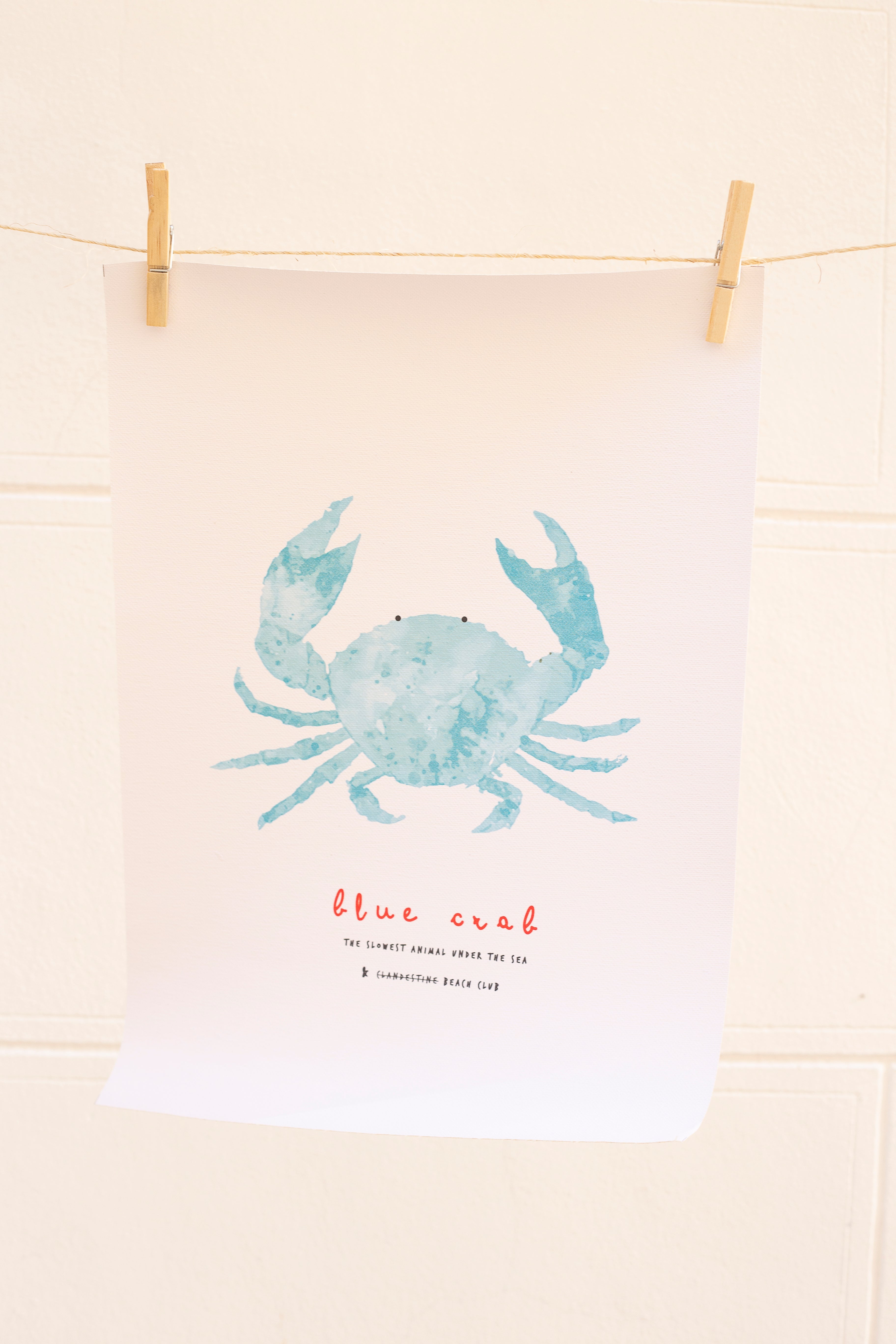 CANVAS LIMITED EDITION BLUE CRAB