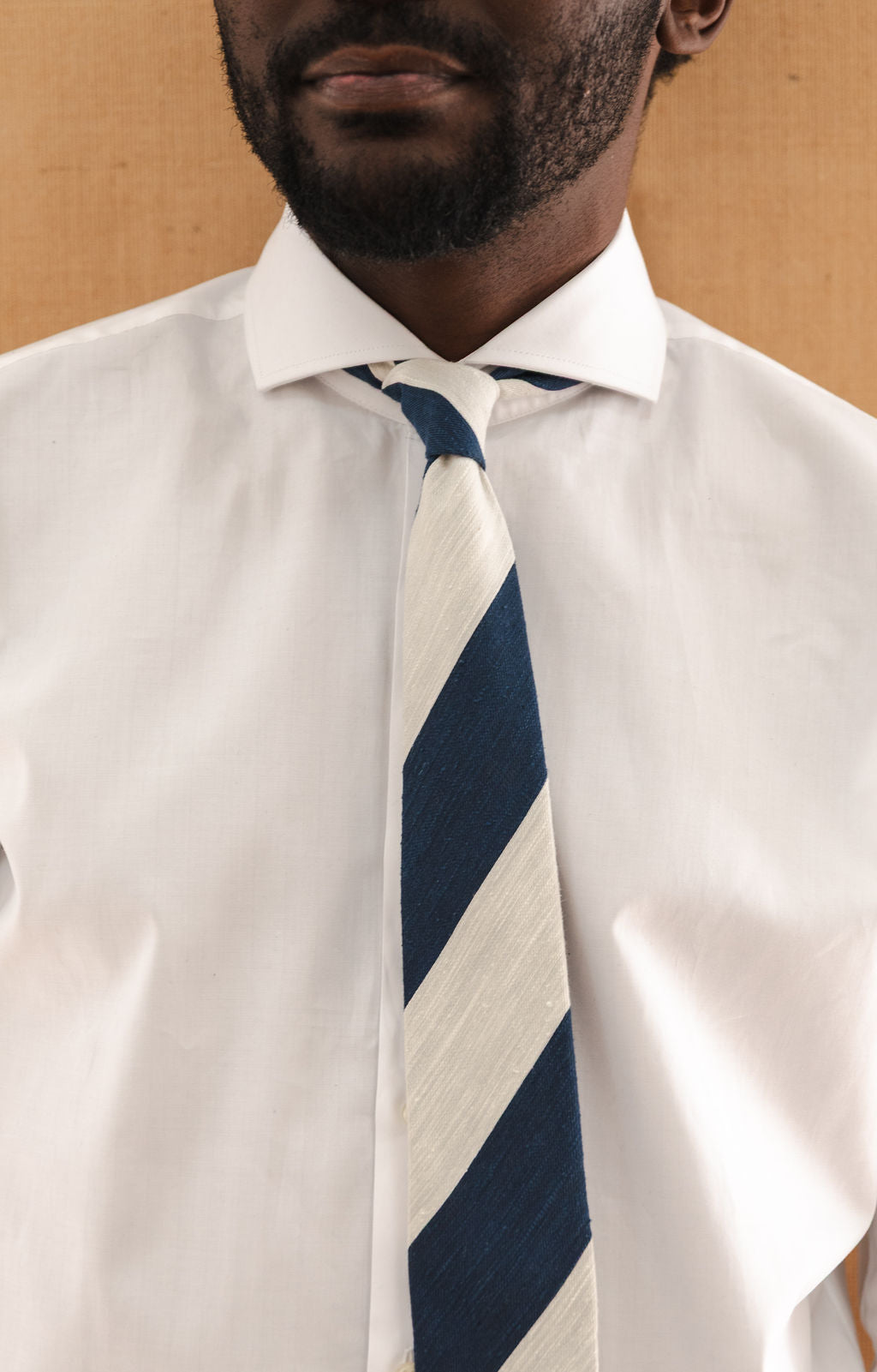 STRIPES SILK TIE