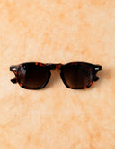 PAUL TORTOISE SUNGLASSES 1129-C02