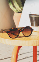 MERY TORTOISE SUNGLASSES 1054-C02