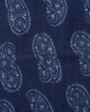 MONSIEUR FOULARD PAISLEY
